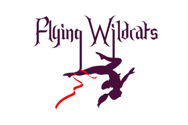 Flying Wildcats